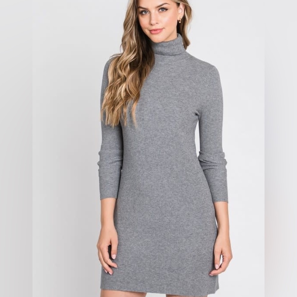 Anistar Grey Ribbed Knit Turtleneck long sleeve Mini
Dress XS